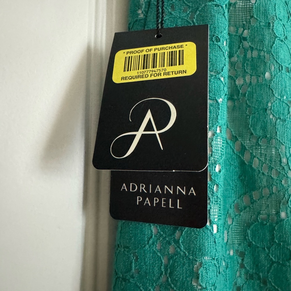 NWT Adrianna Papell lace overlay dress - green/teal and cream, size 12 - Picture 4 of 6